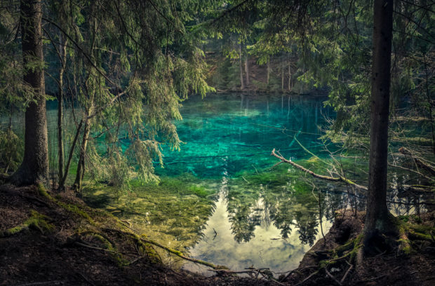 Metsien Suomi. Kuva: Jani Riekkinen